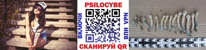 Галлюциногенные грибы Psilocybe  Купить  Козьмодемьянск 
